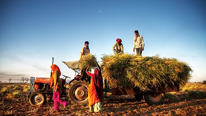 farmers harvesting crops, agriculture boom, long-term credit 